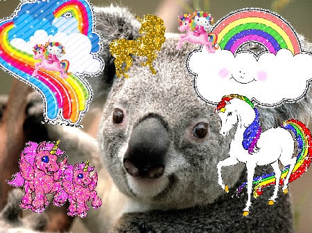 Crazy jolly cute jolly great fun