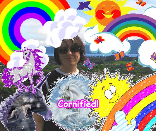 The fun jolly happy divine unicorn