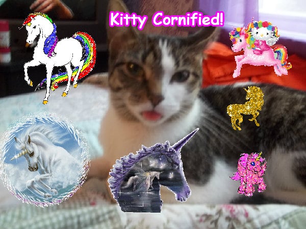 A sunny fun joyful fun composition