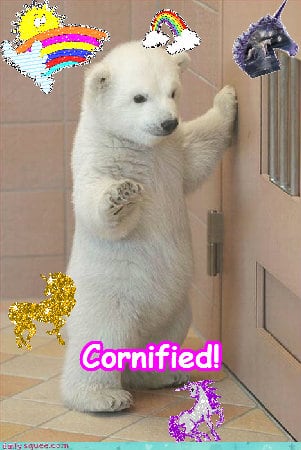 Mindblowingly divine lovely cute sunny sunshine