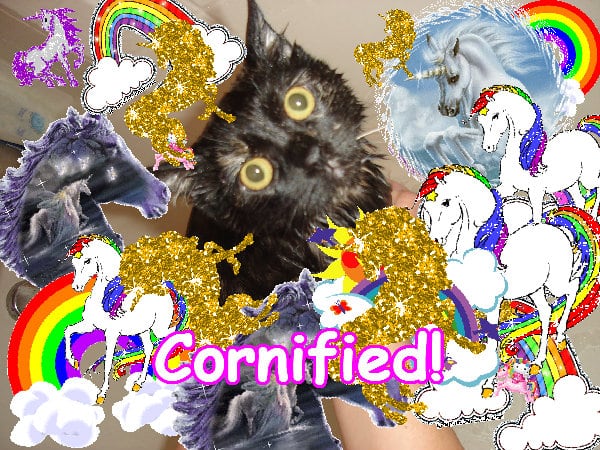 The amazing lovely awesome pink unicorn