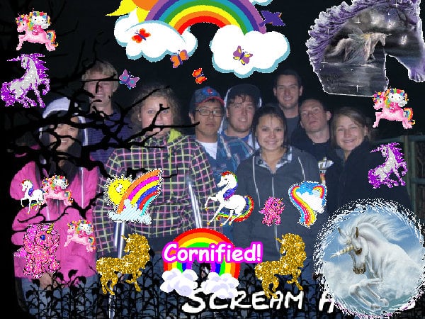 The most joyful glad cool fun picture