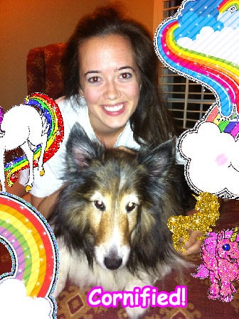 The most pink super sunny jolly composition