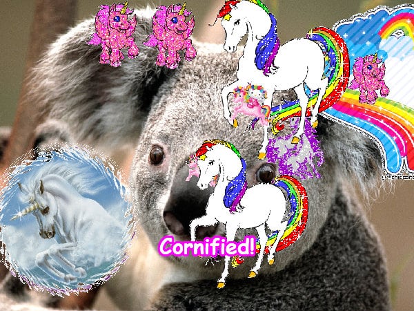 The best happy merry divine family