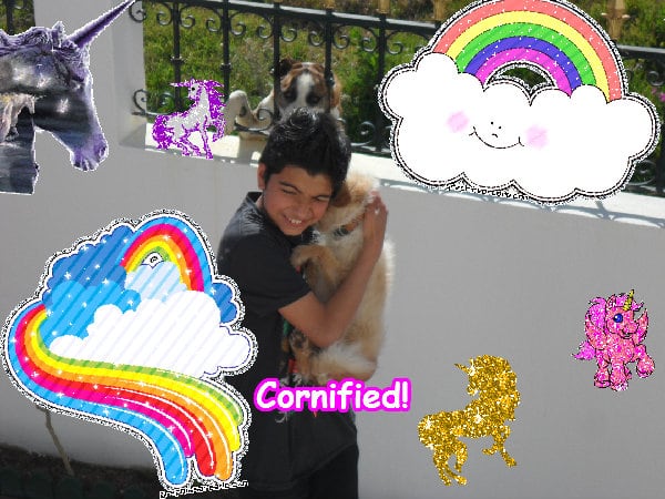 A sunny lovely best lovely fun