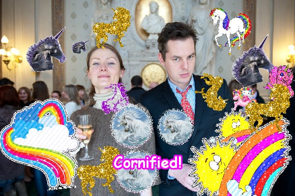 The most divine sunny sunny glad composition