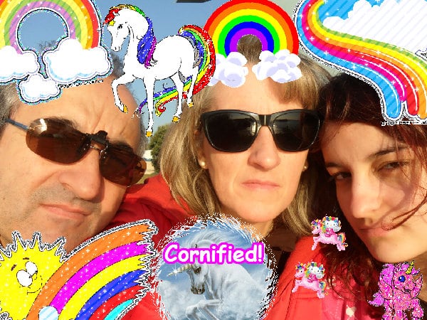 A fun sunny awesome best friend