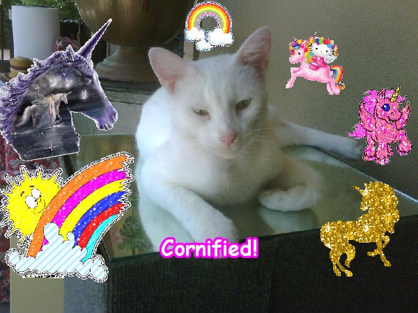 Crazy divine awesome cool happy picture