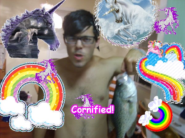 Crazy amazing sunny jolly pink family