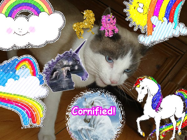 Mindblowingly fun glad sunny joyful picture