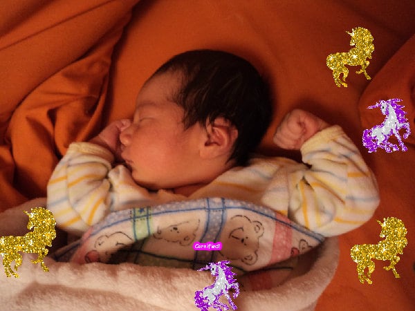 Crazy cool merry pink super sunshine