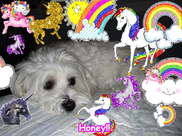 The best fun glad great cute glitter