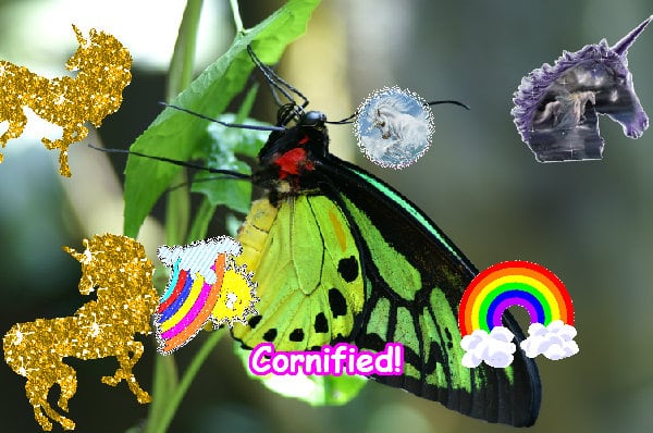 Mindblowingly super joyful jolly joyful photo