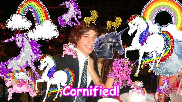 The best best merry cool pink unicorn