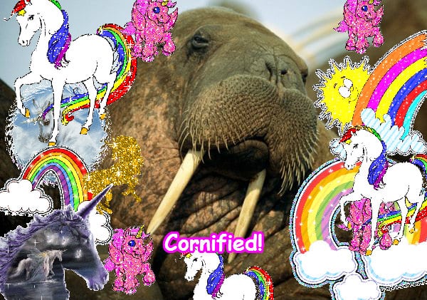 A best divine joyful joyful friend