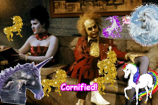 The sunny amazing cool jolly composition