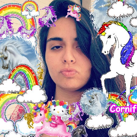 The jolly cool great fun photo