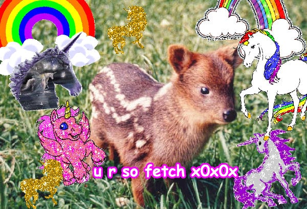 The best lovely jolly glad pink photo