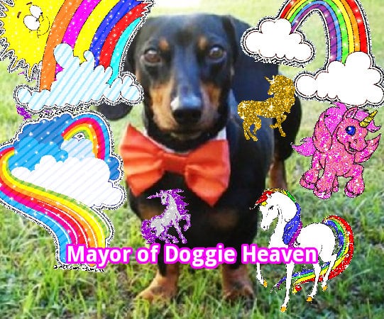 The joyful cool jolly cool glitter