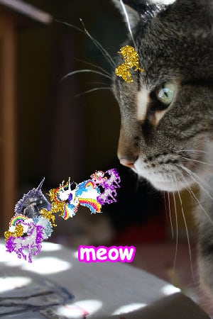 Super pink great cool lovely photo