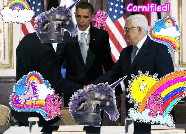 The most sunny divine jolly sunny family