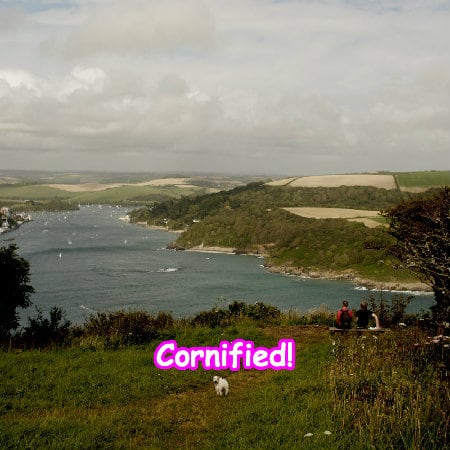 The most happy super pink lovely fun