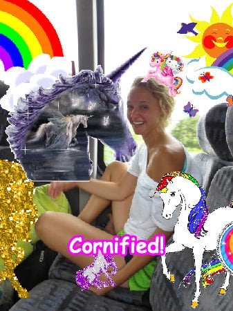 Crazy super joyful fun lovely family