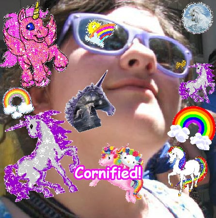 The most lovely sunny awesome best photo