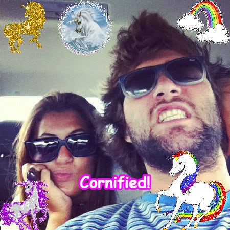 The most lovely fun glad great unicorn