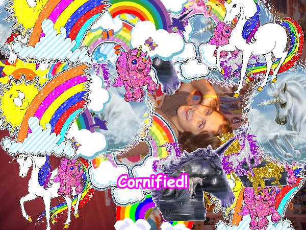 The best glad lovely sunny amazing unicorn