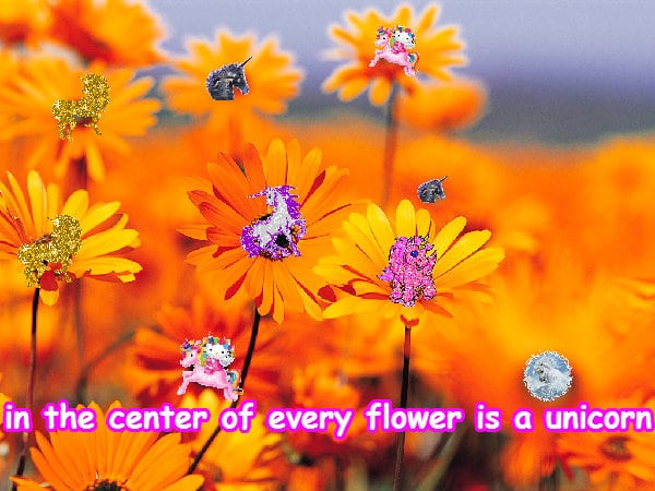 Crazy jolly glad cute amazing picture