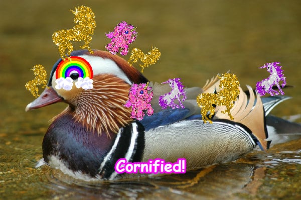 Super jolly cool great lovely image