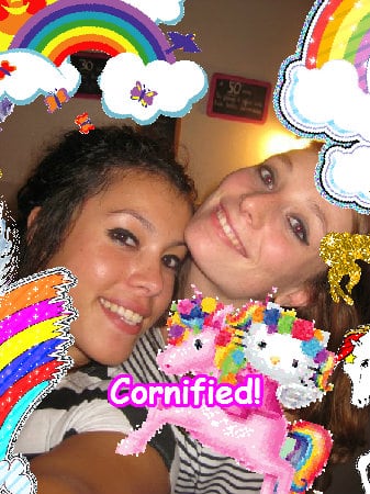 The sunny divine awesome great hug