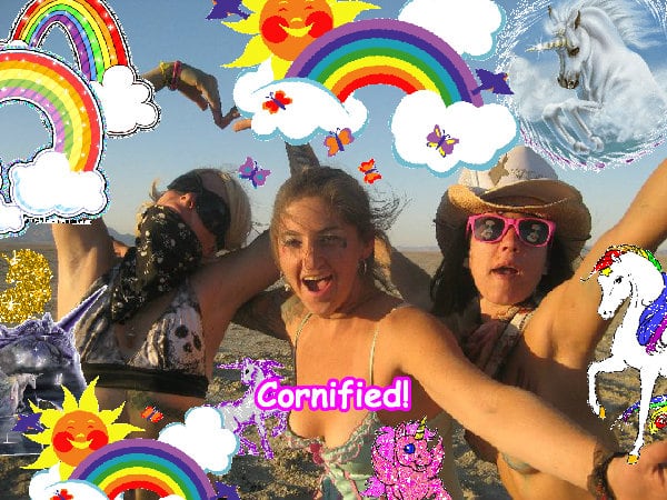 The most jolly jolly cool best picture