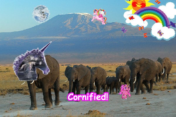 The best happy cute fun joyful photo