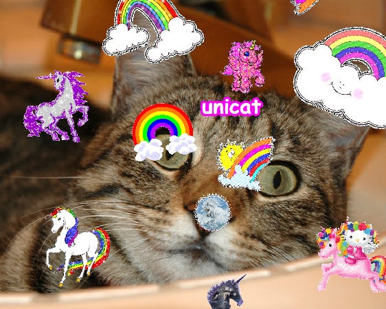 The best lovely glad merry divine glitter