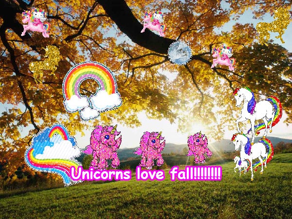 The best lovely amazing best cool photo