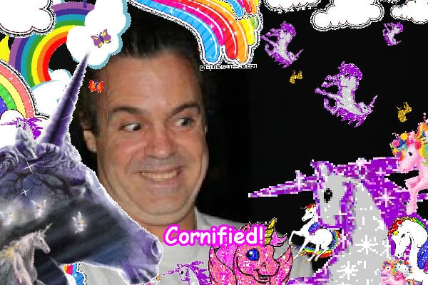 The sunny great cool great happiness