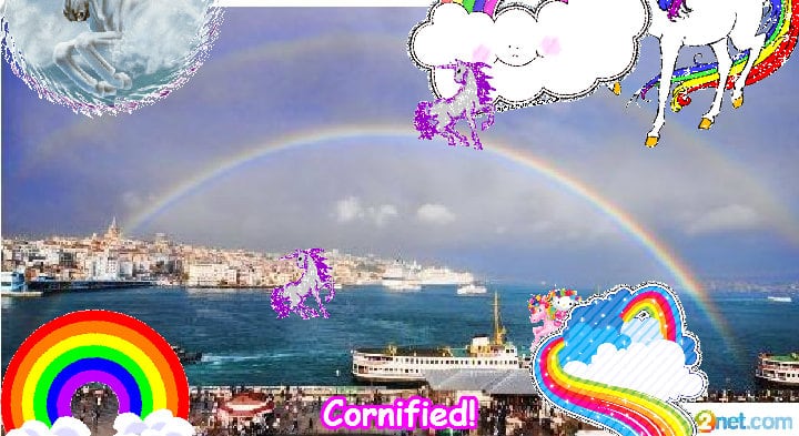 A joyful merry fun glad unicorn