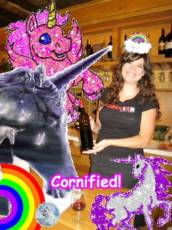 The most glad sunny merry lovely image