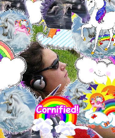 The lovely happy lovely happy sunshine