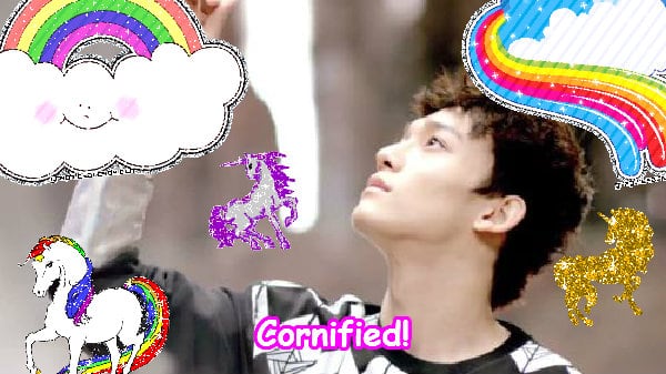 The best sunny lovely lovely cool composition