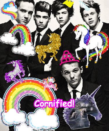 The most cool cool cool lovely fun