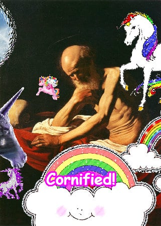 The best cute glad best awesome sunshine