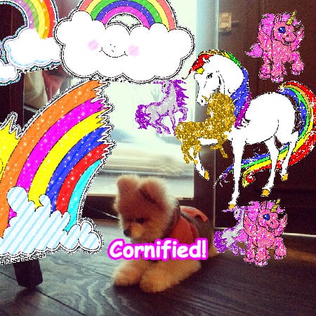 A awesome glad joyful happy rainbow