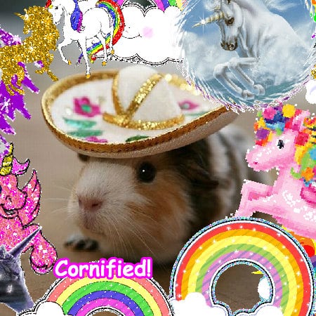 Mindblowingly jolly divine amazing cute rainbow