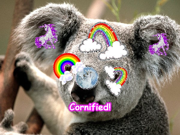 The best best lovely super divine unicorn