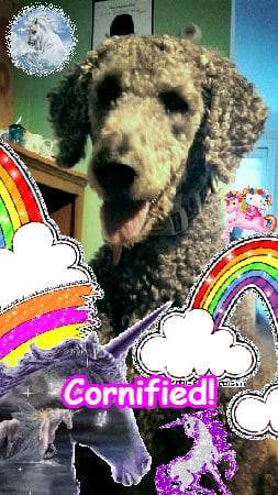 Super joyful super awesome best photo