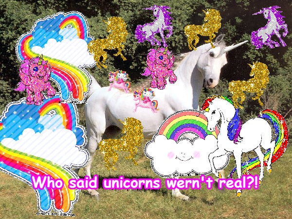 The most awesome fun best jolly photo