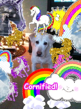 Mindblowingly happy pink glad happy sparkle